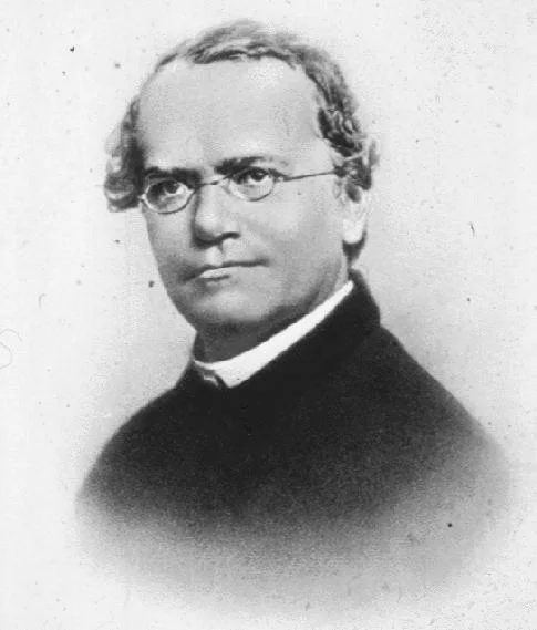 A photographic portrait of Gregor Mendel, the Augustinian friar who founded genetics.